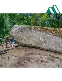 Đừng Sờ Tảng Đá Lung Tung Full