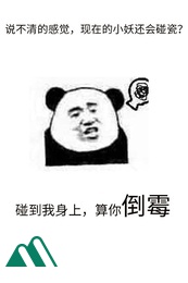 Không Cần Loạn Ăn Vạ Full